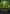 Collected Company (Borderless) [Duskmourn: House of Horror Special Guests] - Magic: The Gathering - Card Brawlers | Quebec | Canada |