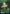 Darkbore Pathway // Slitherbore Pathway (Borderless) [Secret Lair: Ultimate Edition 2] - Magic: The Gathering - Card Brawlers | Quebec | Canada |