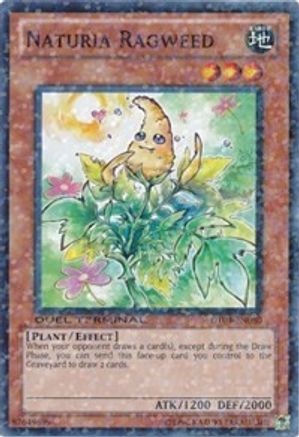 Naturia Ragweed [DT04-EN080] Common - Yu-Gi-Oh! - Card Brawlers | Quebec | Canada |