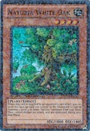 Naturia White Oak [DT04-EN081] Super Rare - Yu-Gi-Oh! - Card Brawlers | Quebec | Canada |