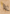 Decanter of Endless Water Art Card (Gold-Stamped Signature) [Commander Legends: Battle for Baldur's Gate Art Series] - Magic: The Gathering - Card Brawlers | Quebec | Canada |