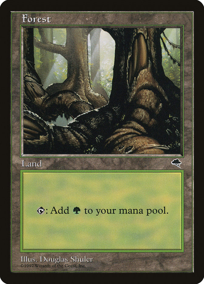 Forest (Large Roots) [Tempest] - Magic: The Gathering - Card Brawlers | Quebec | Canada |