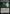 Their Number Is Legion (Surge Foil) [Warhammer 40,000] - Magic: The Gathering - Card Brawlers | Quebec | Canada |