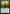 Elvish Visionary [Game Night: Free-for-All] - Magic: The Gathering - Card Brawlers | Quebec | Canada |