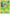 Chespin (XY01) (Jumbo Card) [First Partner Pack] - Pokémon - Card Brawlers | Quebec | Canada |