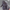 X-Plus - TOHO Kaiju Wars Series - Gigantis Standard Version - (PREORDER) December 15, 2026
