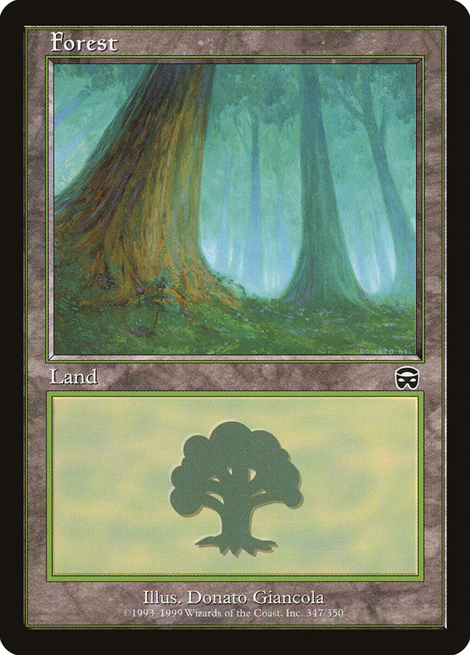 Forest (347) [Mercadian Masques] - Magic: The Gathering - Card Brawlers | Quebec | Canada |