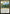 Reflecting Pool [Judge Gift Cards 2019] - Magic: The Gathering - Card Brawlers | Quebec | Canada |