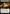 March of the Canonized (Extended Art) [The Lost Caverns of Ixalan Commander] - Magic: The Gathering - Card Brawlers | Quebec | Canada |