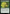 Hazardroot Herbalist [Bloomburrow] - Magic: The Gathering - Card Brawlers | Quebec | Canada |