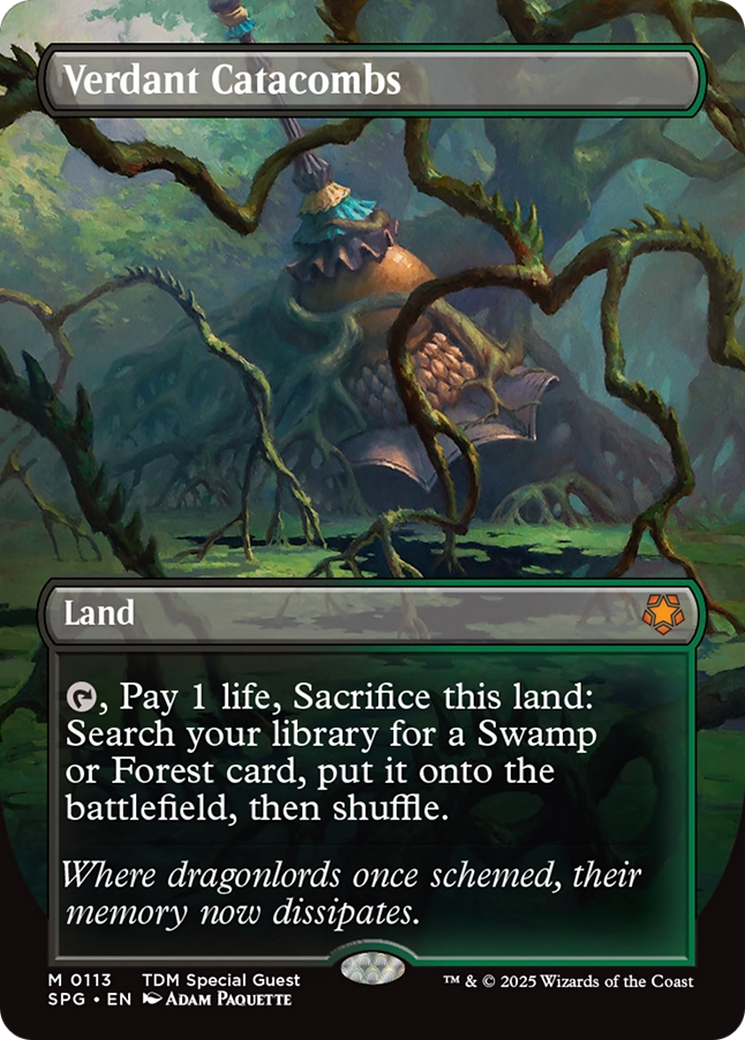 Verdant Catacombs (Borderless) [Tarkir: Dragonstorm Special Guests] - Magic: The Gathering - Card Brawlers | Quebec | Canada |
