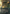 Rally the Galadhrim (Borderless) (Surge Foil) [The Lord of the Rings: Tales of Middle-Earth Commander] - Magic: The Gathering - Card Brawlers | Quebec | Canada |