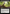 Charnel Serenade (Extended Art) [Murders at Karlov Manor Commander] - Magic: The Gathering - Card Brawlers | Quebec | Canada |