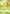Weedle (87/113) [EX: Delta Species] - Pokémon - Card Brawlers | Quebec | Canada |