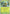Tropius (007/198) [Scarlet & Violet: Base Set] - Pokémon - Card Brawlers | Quebec | Canada |
