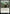 Rumor Gatherer [Commander Legends: Battle for Baldur's Gate] - Magic: The Gathering - Card Brawlers | Quebec | Canada |