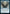 Vesuvan Duplimancy (Promo Pack) [Dominaria United Promos] - Magic: The Gathering - Card Brawlers | Quebec | Canada |