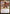 Haktos the Unscarred (Promo Pack) [Theros Beyond Death Promos] - Magic: The Gathering - Card Brawlers | Quebec | Canada |