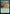 Sandwurm Convergence [Streets of New Capenna Commander] - Magic: The Gathering - Card Brawlers | Quebec | Canada |