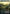 Temple Garden (Borderless) (Galaxy Foil) [Unfinity] - Magic: The Gathering - Card Brawlers | Quebec | Canada |