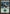 Forest (380) [Tenth Edition] - Magic: The Gathering - Card Brawlers | Quebec | Canada |