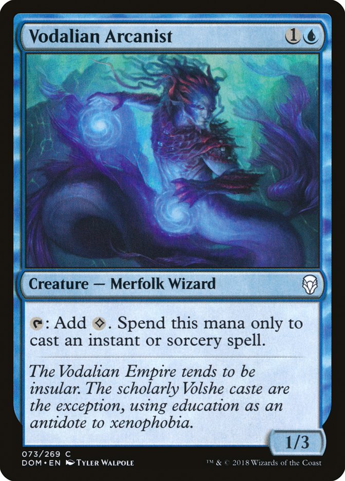 Vodalian Arcanist [Dominaria] - Magic: The Gathering - Card Brawlers | Quebec | Canada |