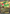 Flygon EX (XY61) [XY: Black Star Promos] - Pokémon - Card Brawlers | Quebec | Canada |