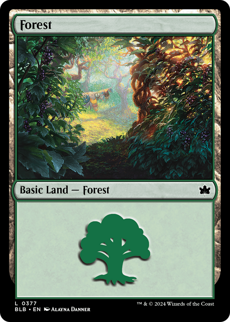 Forest (0377) [Bloomburrow] - Magic: The Gathering - Card Brawlers | Quebec | Canada |