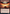 Jaya's Phoenix (Extended Art) [Commander Masters] - Magic: The Gathering - Card Brawlers | Quebec | Canada |