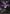 dOOm bLaDE [Secret Lair Drop Series] - Magic: The Gathering - Card Brawlers | Quebec | Canada |