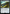 Sonic Screwdriver (0790) (Surge Foil) [Doctor Who] - Magic: The Gathering - Card Brawlers | Quebec | Canada |