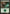 Forest (79) [Duel Decks: Heroes vs. Monsters] - Magic: The Gathering - Card Brawlers | Quebec | Canada |