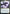 Drizzt Do'Urden (Ampersand Promo) [Dungeons & Dragons: Adventures in the Forgotten Realms Promos] - Magic: The Gathering - Card Brawlers | Quebec | Canada |