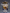Good Smile - Nendoroid - Doma - (PREORDER) November 15, 2026