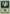 Forest (330) [Seventh Edition] - Magic: The Gathering - Card Brawlers | Quebec | Canada |