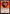 Avatar Roku, Firebender [Avatar: The Last Airbender: Eternal-Legal] - Magic: The Gathering - Card Brawlers | Quebec | Canada |