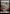 Plains (262) (Full-Art) [Wilds of Eldraine] - Magic: The Gathering - Card Brawlers | Quebec | Canada |