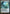 Misty Rainforest [Zendikar Expeditions] - Magic: The Gathering - Card Brawlers | Quebec | Canada |