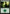 Forest (274) [Core Set 2021] - Magic: The Gathering - Card Brawlers | Quebec | Canada |