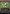 Vandalblast (Borderless) (Surge Foil) [Fallout] - Magic: The Gathering - Card Brawlers | Quebec | Canada |