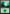 Forest (337) [Commander 2014] - Magic: The Gathering - Card Brawlers | Quebec | Canada |