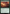 Bramble Wurm [Innistrad Remastered] - Magic: The Gathering - Card Brawlers | Quebec | Canada |