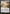 Horizon Canopy (Expeditions) [Zendikar Rising Expeditions] - Magic: The Gathering - Card Brawlers | Quebec | Canada |