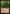Abundant Growth (Retro Frame) [Innistrad Remastered] - Magic: The Gathering - Card Brawlers | Quebec | Canada |