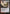 Spire Garden (Expeditions) [Zendikar Rising Expeditions] - Magic: The Gathering - Card Brawlers | Quebec | Canada |