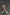 Joytoy - Warhammer 40k - White Scars Legion - Vigilator with Nemesis rifle and Bolt Pistol - (PREORDER) October 30, 2026