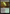 Darkmoss Bridge [Duskmourn: House of Horror Commander] - Magic: The Gathering - Card Brawlers | Quebec | Canada |