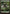 Forest (273) (Full Art) [Battle for Zendikar] - Magic: The Gathering - Card Brawlers | Quebec | Canada |