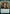 Instrument of the Bards (Extended Art) [Dungeons & Dragons: Adventures in the Forgotten Realms] - Magic: The Gathering - Card Brawlers | Quebec | Canada |