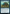 Angler Turtle [Game Night: Free-for-All] - Magic: The Gathering - Card Brawlers | Quebec | Canada |